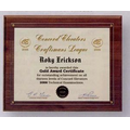 Framed Recognition Panel Certificate Holder